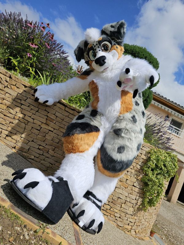 photo_2024-07-22_11-25-06